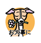 【フォーン】1年中使えるイタグレスタンプ（個別スタンプ：23）