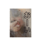 チビたち( •ө• )（個別スタンプ：5）