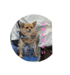 犬＆‪ハムスター＆亀（個別スタンプ：5）