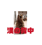 ミントと眠たい仲間たち（個別スタンプ：4）