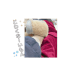 チビたち( •ө• )2（個別スタンプ：13）