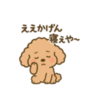 関西弁トイプードルスタンプ（個別スタンプ：4）