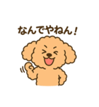 関西弁トイプードルスタンプ（個別スタンプ：6）