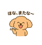 関西弁トイプードルスタンプ（個別スタンプ：8）