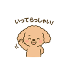 関西弁トイプードルスタンプ（個別スタンプ：13）