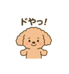 関西弁トイプードルスタンプ（個別スタンプ：14）