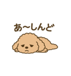 関西弁トイプードルスタンプ（個別スタンプ：15）
