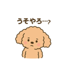 関西弁トイプードルスタンプ（個別スタンプ：16）