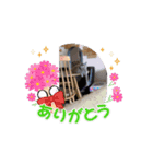 3ニャンズやるにゃん（個別スタンプ：1）