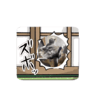 3ニャンズやるにゃん（個別スタンプ：2）