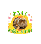 トムくんのスタンプ 第2弾（個別スタンプ：6）