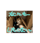 トムくんのスタンプ 第2弾（個別スタンプ：9）