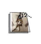 トムくんのスタンプ 第2弾（個別スタンプ：12）