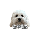 はるのつむじ その5（個別スタンプ：19）
