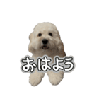 はるのつむじ その5（個別スタンプ：21）