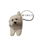 はるのつむじ その5（個別スタンプ：22）