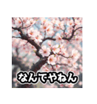 しゃべる桜スタンプ（感情ぐちゃぐちゃ）（個別スタンプ：1）