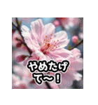 しゃべる桜スタンプ（感情ぐちゃぐちゃ）（個別スタンプ：2）
