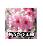 しゃべる桜スタンプ（感情ぐちゃぐちゃ）（個別スタンプ：4）