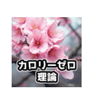 しゃべる桜スタンプ（感情ぐちゃぐちゃ）（個別スタンプ：6）