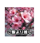 しゃべる桜スタンプ（感情ぐちゃぐちゃ）（個別スタンプ：17）