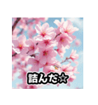しゃべる桜スタンプ（感情ぐちゃぐちゃ）（個別スタンプ：26）