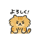 茶トラのハルくんスタンプ（個別スタンプ：1）