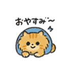 茶トラのハルくんスタンプ（個別スタンプ：5）