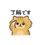 茶トラのハルくんスタンプ（個別スタンプ：9）