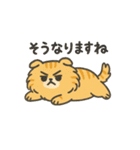 茶トラのハルくんスタンプ（個別スタンプ：16）