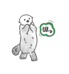 使いやすいラッコらこ（個別スタンプ：21）
