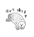 使いやすいラッコらこ（個別スタンプ：27）