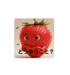 苺君スタンプ第5弾（個別スタンプ：20）