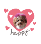 loveAngel.•♥（個別スタンプ：3）