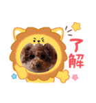 loveAngel.•♥（個別スタンプ：4）