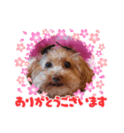 loveAngel.•♥（個別スタンプ：5）