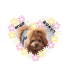 loveAngel.•♥（個別スタンプ：6）