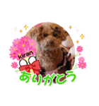 loveAngel.•♥（個別スタンプ：8）