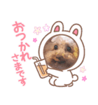 loveAngel.•♥（個別スタンプ：9）