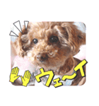 loveAngel.•♥（個別スタンプ：11）