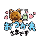 loveAngel.•♥（個別スタンプ：12）