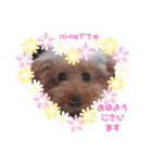 loveAngel.•♥（個別スタンプ：13）