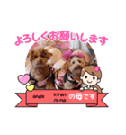 loveAngel.•♥（個別スタンプ：14）
