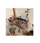 千河のお芋（個別スタンプ：1）