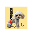 千河のお芋（個別スタンプ：3）