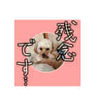 千河のお芋（個別スタンプ：4）