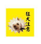 千河のお芋（個別スタンプ：7）