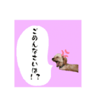 千河のお芋（個別スタンプ：11）