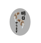 千河のお芋（個別スタンプ：12）