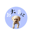 千河のお芋（個別スタンプ：16）